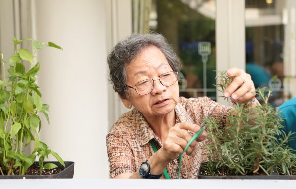 SLEC Food Garden at St Luke's ElderCare Ayer Rajah Centre